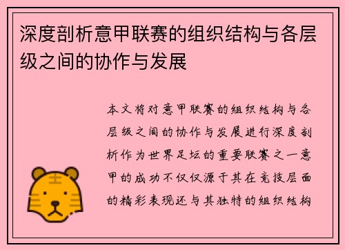 深度剖析意甲联赛的组织结构与各层级之间的协作与发展